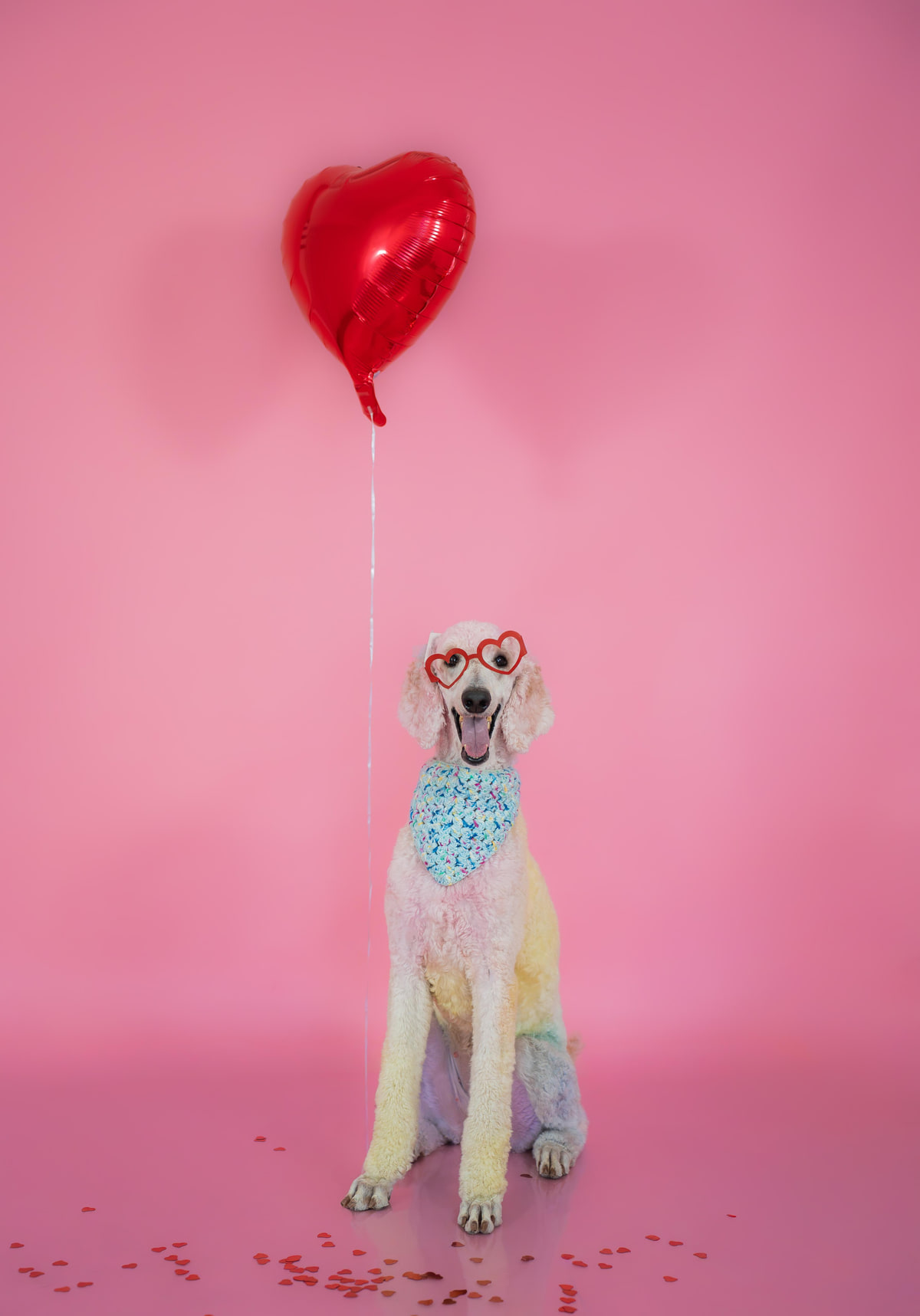 Un caniche con toques de color rosado, lentes de corazón y una bandana